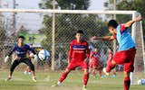 HLV Park Hang-seo 