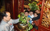 Bỏ tục 'cướp giò hoa tre', người dân kiên nhẫn xếp hàng xin 'lộc' Thánh Gióng