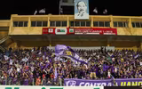 [ẢNH] Bị SLNA ngăn cản, Hà Nội FC vô địch nhờ 