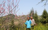 [ẢNH] Mê mẩn sắc hoa tháng Giêng nơi miền biên viễn