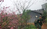 [ẢNH] Mê mẩn sắc hoa tháng Giêng nơi miền biên viễn