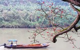 [ẢNH] Mê mẩn sắc hoa tháng Giêng nơi miền biên viễn