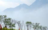 [ẢNH] Mê mẩn sắc hoa tháng Giêng nơi miền biên viễn