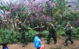 [ẢNH] Tuần tra biên giới, bảo vệ vững chắc phên giậu Tổ quốc