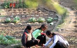 [ẢNH] Những hình ảnh trẻ em thành phố 