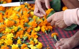 [ẢNH] Buổi sớm yên bình ở cố đô Luang Prabang
