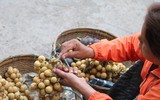 [ẢNH] Buổi sớm yên bình ở cố đô Luang Prabang