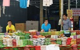 [ẢNH] Trẩy hội chùa Hương 