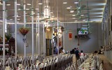[ẢNH] Trẩy hội chùa Hương 
