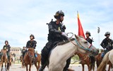 [ẢNH] Thích thú hình ảnh Cảnh sát cơ động kỵ binh diễu hành tại Hà Nội