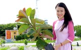 Người đẹp Phùng Bảo Ngọc Vân mang tình yêu đất liền đến với Trường Sa