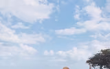 Hoa hậu Kỳ Duyên khoe đường cong 