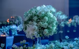 Bữa tiệc sinh nhật xa hoa 