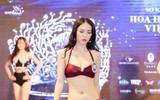 Ứng viên 