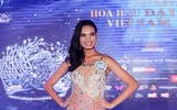 Dàn người đẹp có 