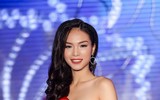 Dàn người đẹp có 