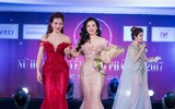 Việt Nam cử đại diện tham gia 