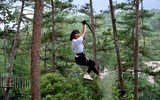 Đọ nhan sắc và học vấn của dàn người đẹp 