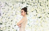 Khám phá hành lý nặng 160kg được Mỹ Linh mang đến Miss World 2017