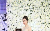 Khám phá hành lý nặng 160kg được Mỹ Linh mang đến Miss World 2017