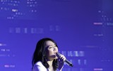 Mỹ Tâm đón nhận tin vui trong đêm nhạc mừng sinh nhật