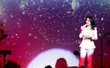 Mỹ Tâm đón nhận tin vui trong đêm nhạc mừng sinh nhật