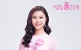 Ngắm 25 người đẹp phía Bắc lọt vào chung khảo toàn quốc 