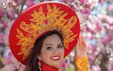 Ngắm dàn thí sinh thi 