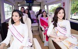 Hoa hậu Tiểu Vy bị 