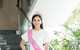 Hoa hậu Tiểu Vy bị 