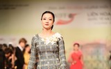 Ngắm lại dàn 
