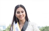Tiểu Vy và cú 