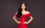 Tiểu Vy và cú 