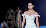 Tiểu Vy và cú 