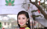 Dàn 