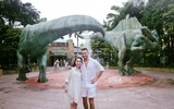 Nhìn lại chặng đường yêu, cưới và ly hôn của 
