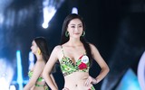 Lộ diện Top 5 người đẹp mặc áo tắm đẹp nhất 