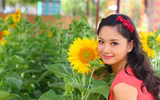 Dàn diễn viên 