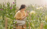 Khoảnh khắc đời thường của Lý Nhã Kỳ: hái hoa, thu hoạch rau củ quả