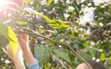 Lý Nhã Kỳ tận hưởng cuộc sống độc thân sau khi khép lại chuyện tình 10 năm