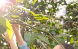 Lý Nhã Kỳ tận hưởng cuộc sống độc thân sau khi khép lại chuyện tình 10 năm