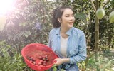 Lý Nhã Kỳ tận hưởng cuộc sống độc thân sau khi khép lại chuyện tình 10 năm