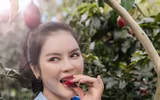 Lý Nhã Kỳ tận hưởng cuộc sống độc thân sau khi khép lại chuyện tình 10 năm