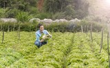 Lý Nhã Kỳ tận hưởng cuộc sống độc thân sau khi khép lại chuyện tình 10 năm