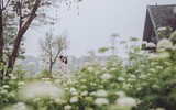 Duy Mạnh và vợ 