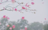 Duy Mạnh và vợ 