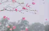 Duy Mạnh và vợ 
