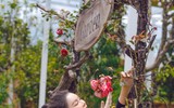 Bị đồn là người giàu có nhất nhì showbiz Việt, Lý Nhã Kỳ nói gì?