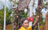 Bị đồn là người giàu có nhất nhì showbiz Việt, Lý Nhã Kỳ nói gì?