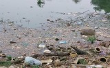 Hà Nội: Ô nhiễm khủng khiếp ở công viên hồ Đền Lừ